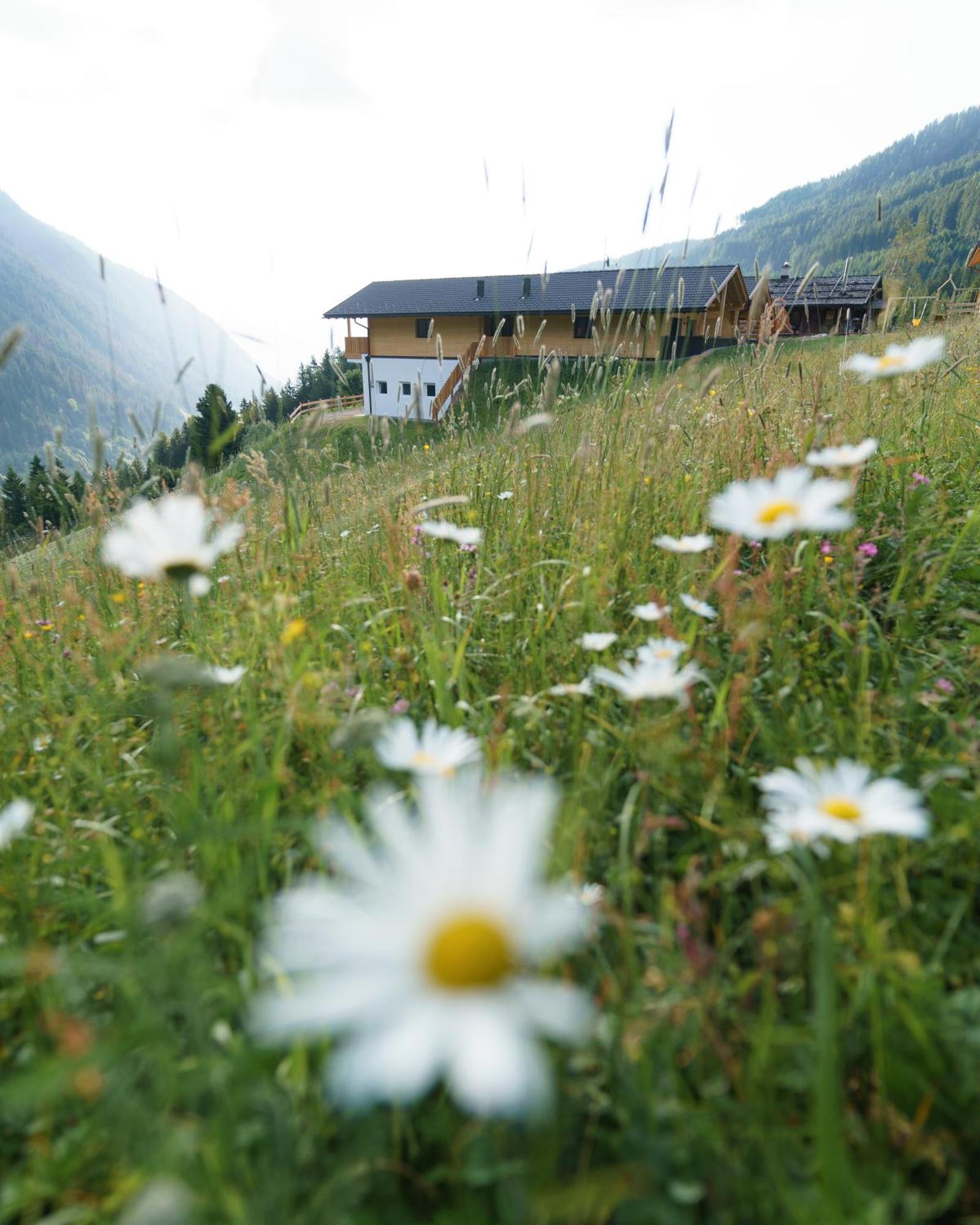 Blosegghof Bergchalets Waldblick Ratschings Exteriör bild